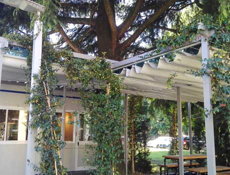 Foto Small Pergola 33