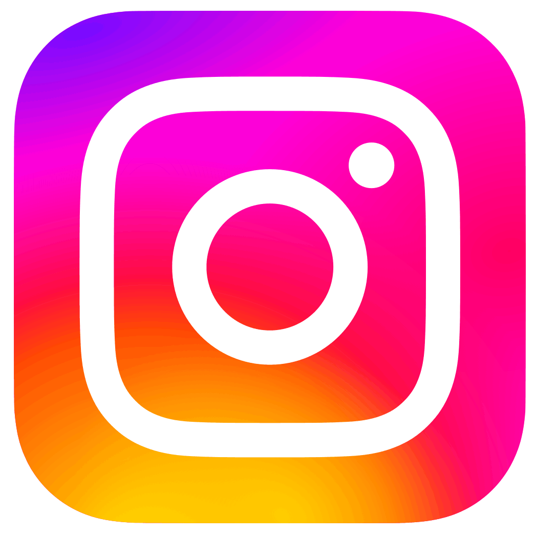 LOGO SOCIAL ICONA INSTAGRAM